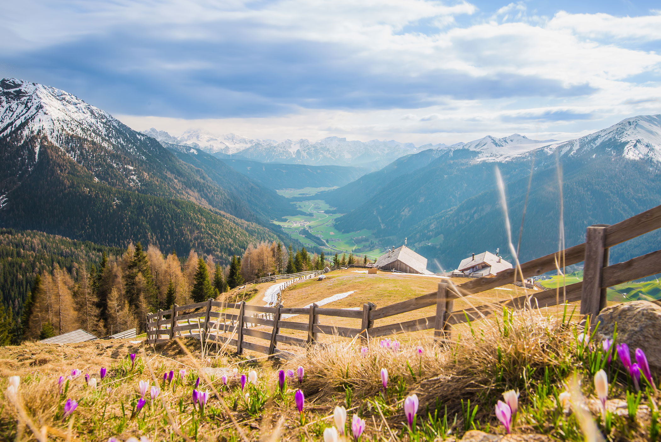 Pasture - Tiefentalhof