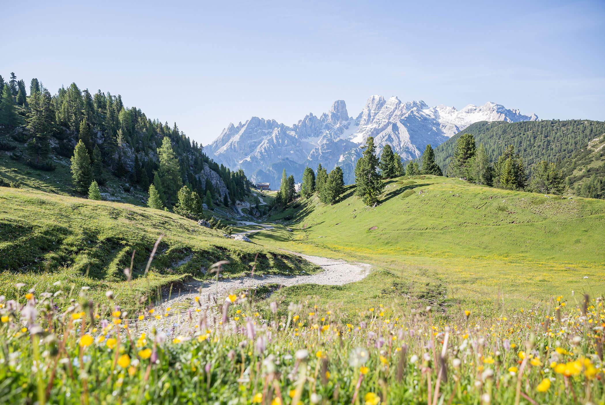 Plätzwiese - Tiefentalhof
